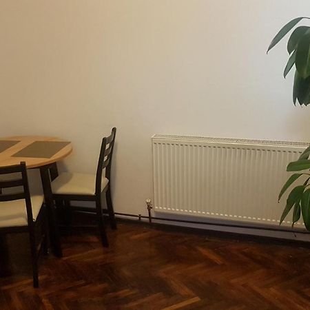 Cosy Studio-Apartament Oradea Bagian luar foto