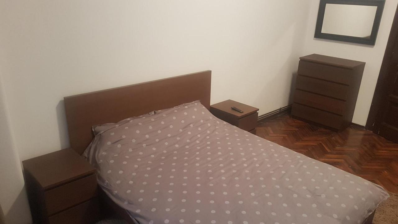 Cosy Studio-Apartament Oradea Bagian luar foto