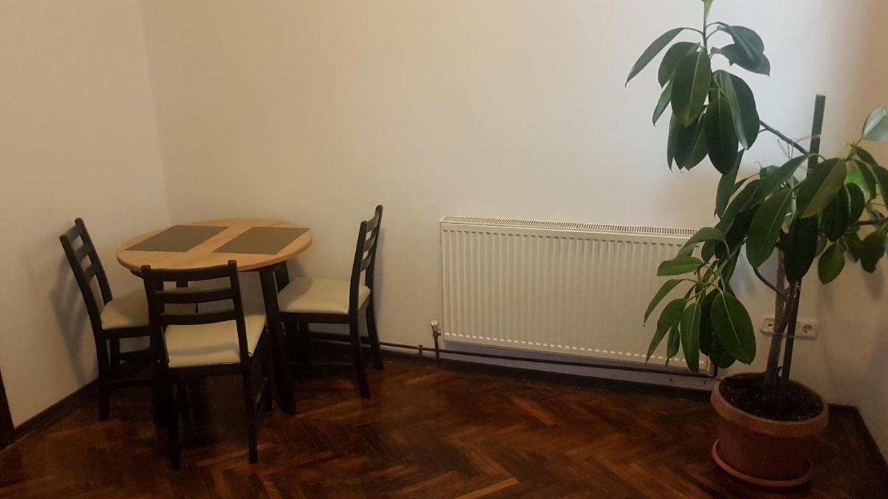 Cosy Studio-Apartament Oradea Bagian luar foto